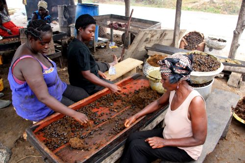 Schokoladenproduktion