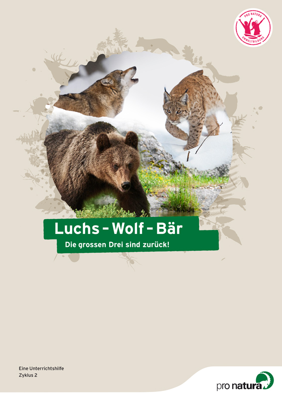 Die grossen Drei sind zurück