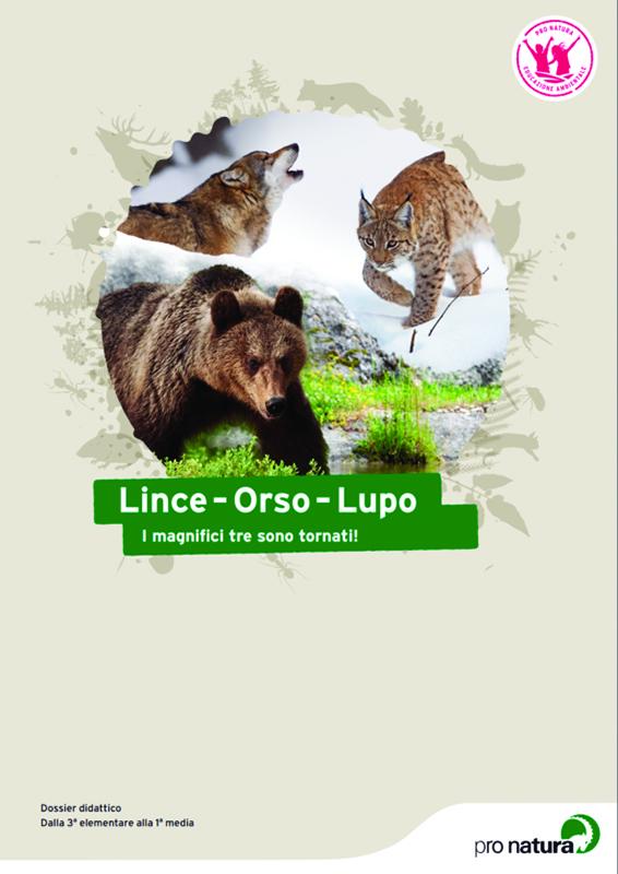 Lince-Orso-Lupo