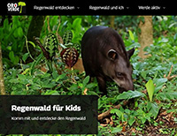 Regenwald-fuer-kids
