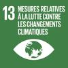 SDG13