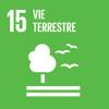 SDG15