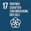 SDG17
