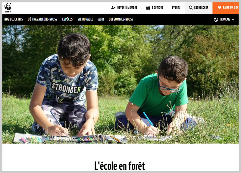 Ecole en foret