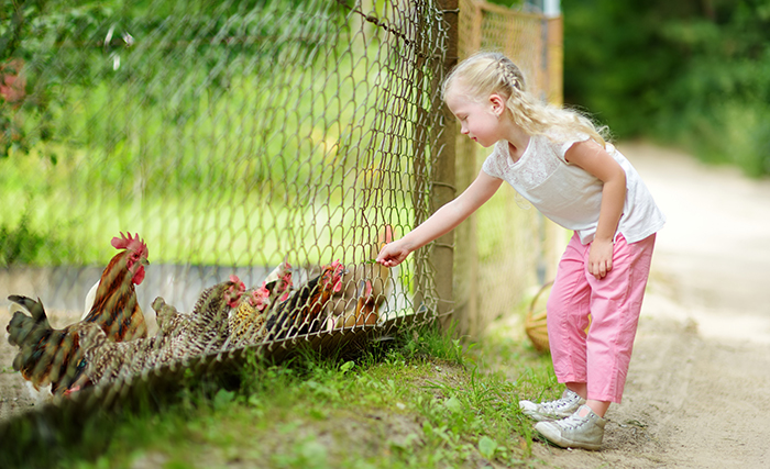 Les animaux, impensés du développement durable ?