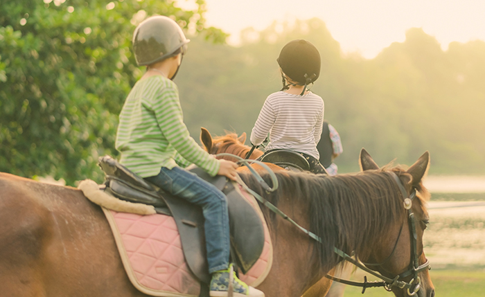miser sur le bon cheval