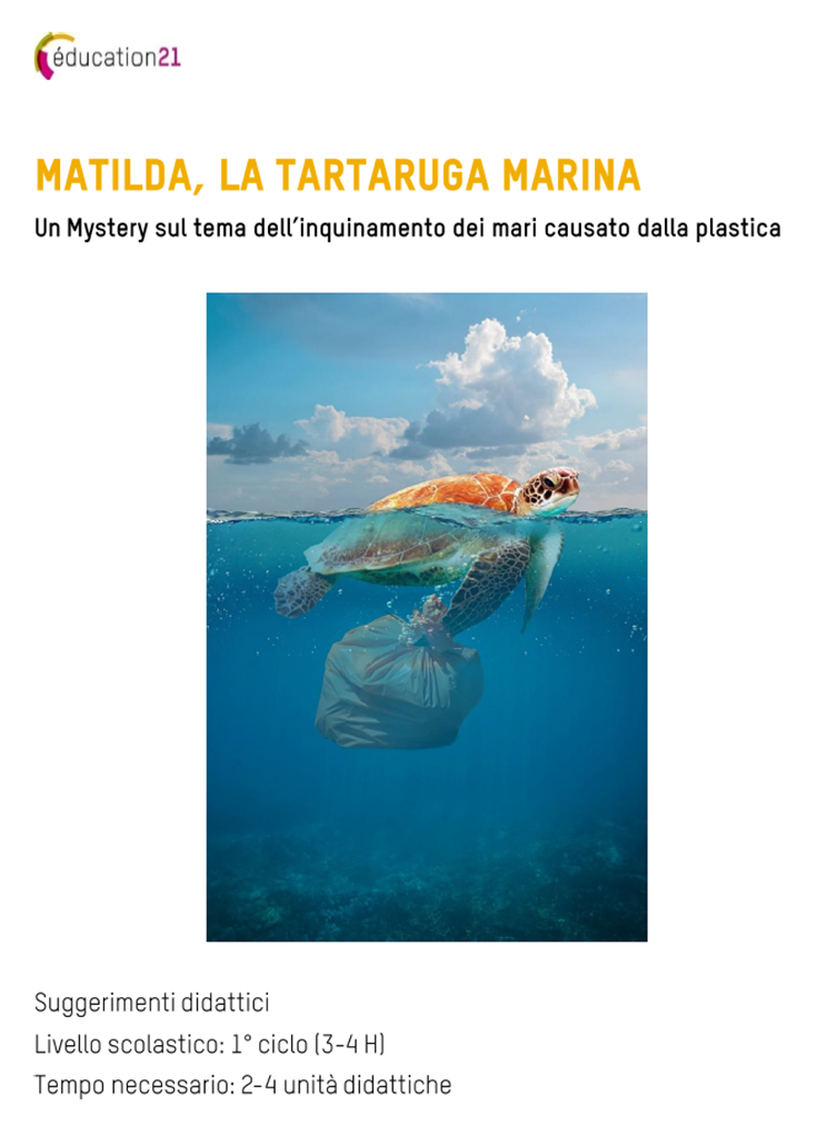 Matilda, la tartaruga marina