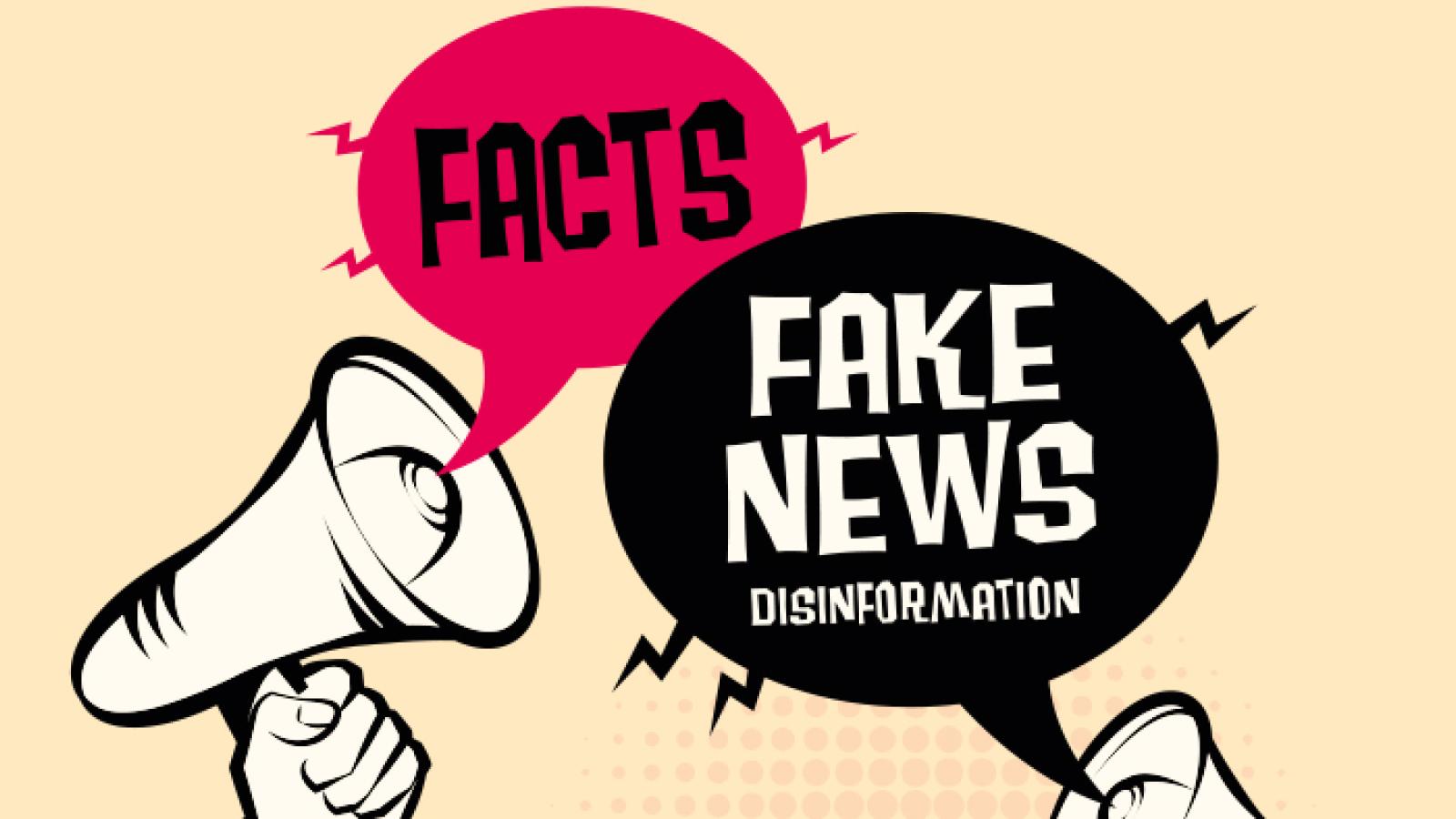 Welche Macht hat Desinformation?