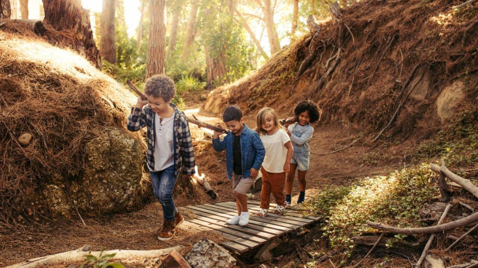 Finanzhilfe für BNE-Schulprojekte